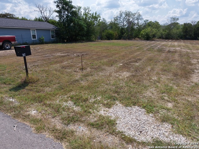 Image 11 of 11 For 307 Nagel Street