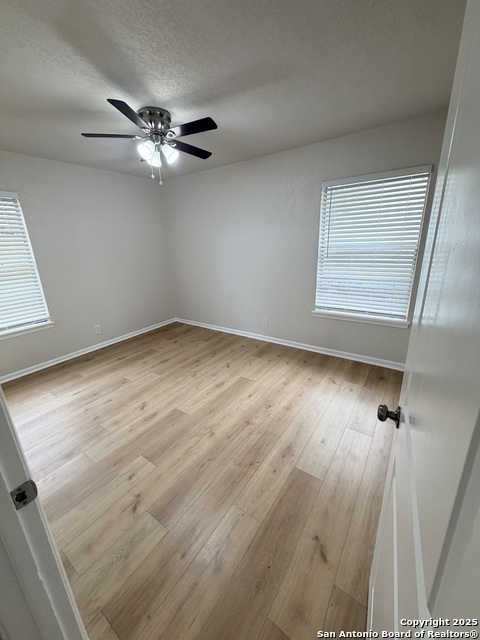 Image 13 of 20 For 101 Young  