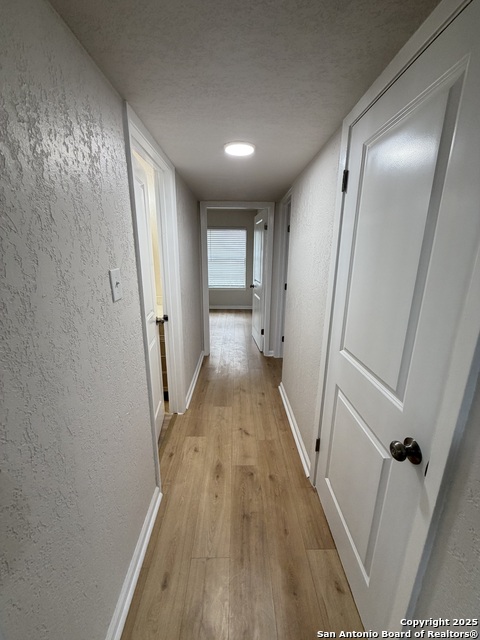 Image 9 of 20 For 101 Young  