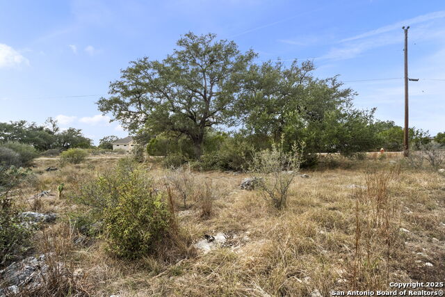 Image 2 of 13 For 137 Red Tail Cv