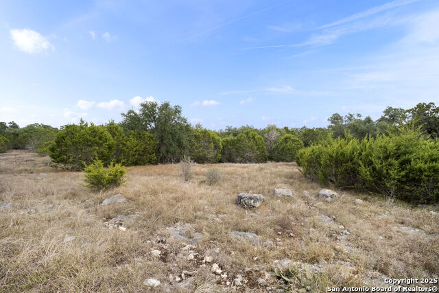 Image 6 of 13 For 137 Red Tail Cv