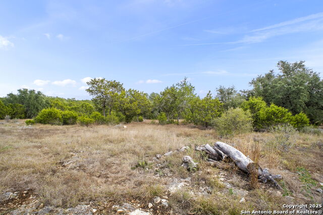 Image 7 of 13 For 137 Red Tail Cv