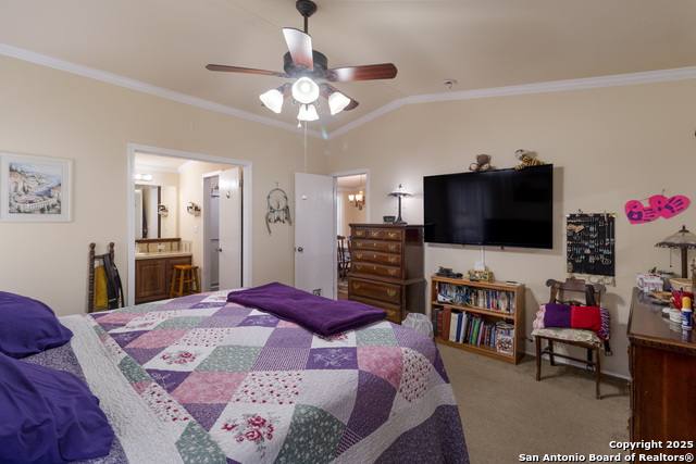 Image 13 of 24 For 4892 County Road 427