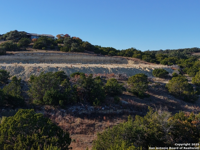 Details for 466 Majestic Oak, Blanco, TX 78606