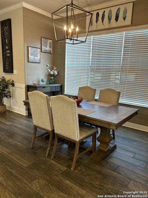 Image 12 of 16 For 202 Cactus