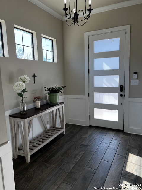 Image 3 of 16 For 202 Cactus