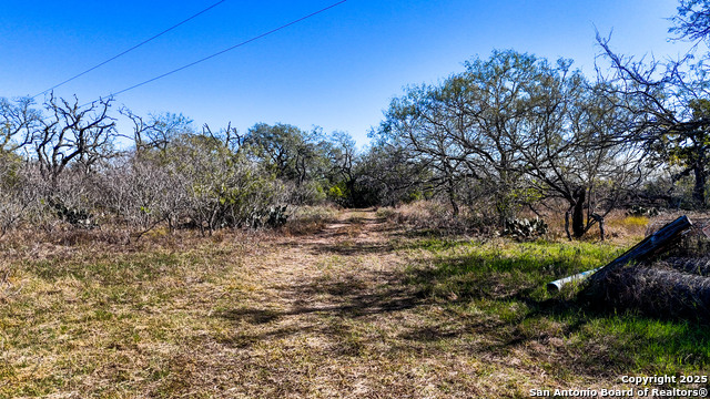 Image 13 of 22 For 74 County Road 454