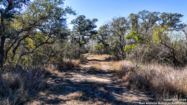 Image 15 of 22 For 74 County Road 454