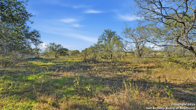 Image 4 of 22 For 74 County Road 454