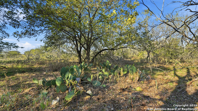 Image 5 of 22 For 74 County Road 454