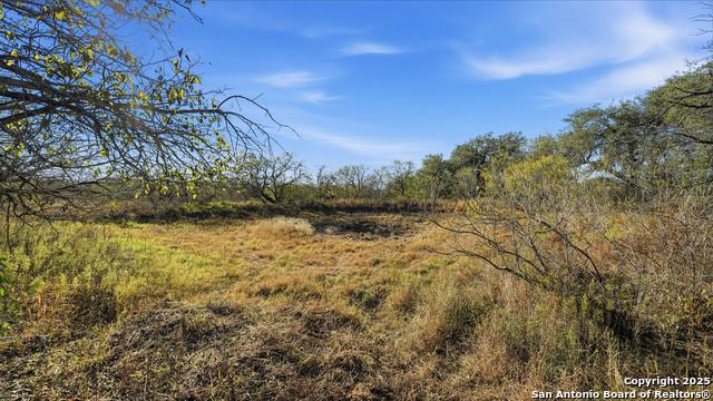 Image 6 of 22 For 74 County Road 454
