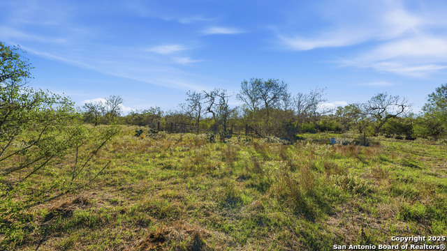 Image 7 of 22 For 74 County Road 454