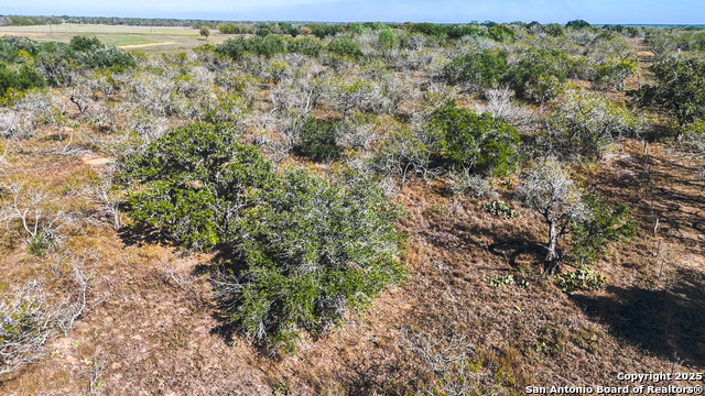 Image 8 of 22 For 74 County Road 454