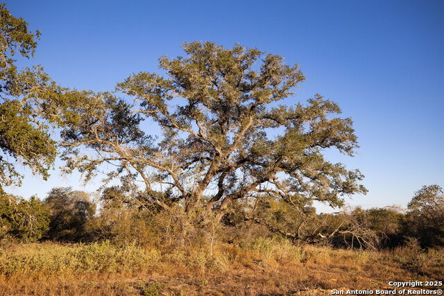 Image 6 of 9 For 552 Pr Arroyo Vista Lot 41