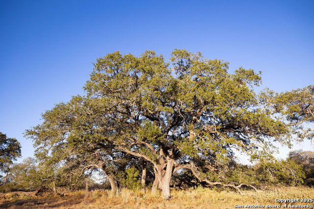 Image 7 of 9 For 552 Pr Arroyo Vista Lot 41