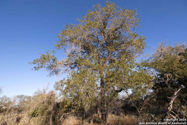 Image 8 of 9 For 552 Pr Arroyo Vista Lot 41