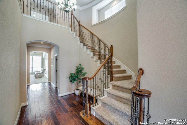 Image 4 of 25 For 5318 Statice Hunt