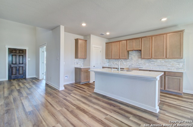 Details for 2518 White Daisy Hill, Converse, TX 78109