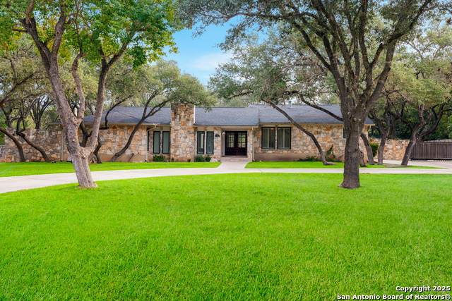 Image 2 of 59 For 90 Mossy Cup