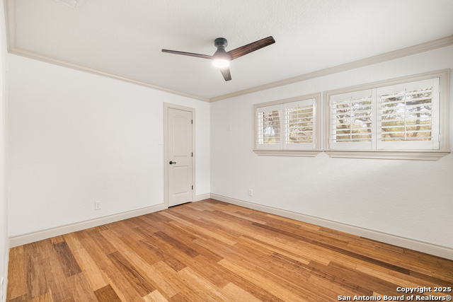 Image 38 of 59 For 90 Mossy Cup