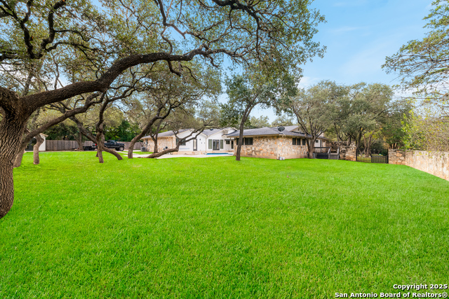 Image 47 of 59 For 90 Mossy Cup