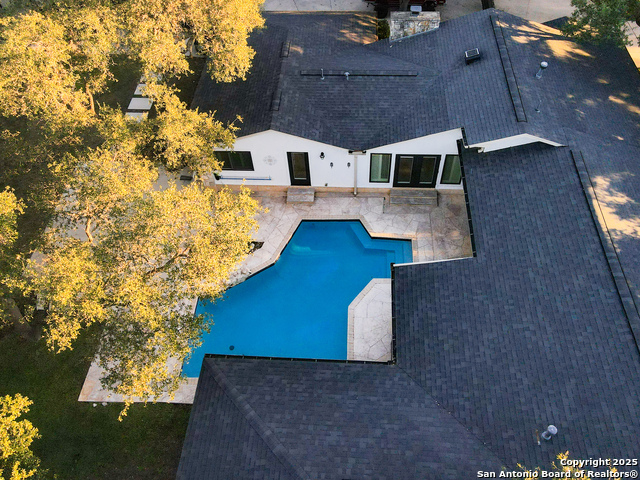 Image 54 of 59 For 90 Mossy Cup