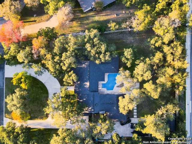 Image 55 of 59 For 90 Mossy Cup