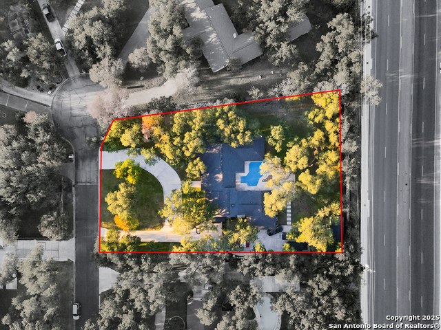 Image 56 of 59 For 90 Mossy Cup