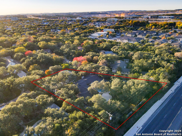 Image 57 of 59 For 90 Mossy Cup