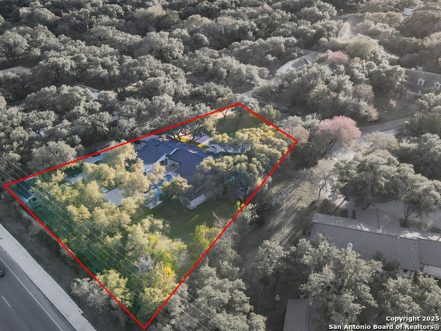 Image 58 of 59 For 90 Mossy Cup