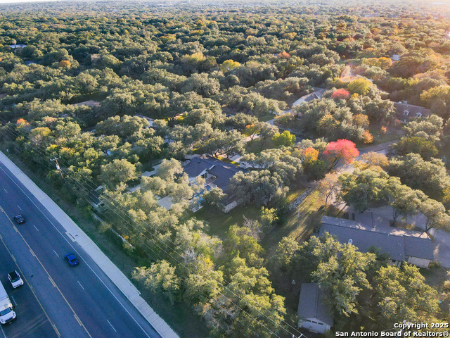 Image 59 of 59 For 90 Mossy Cup