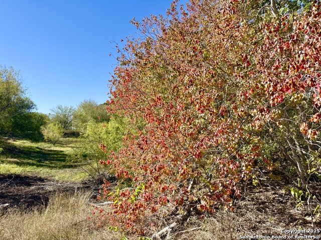 Image 19 of 26 For Lot 14 Northfield Subdivision Unit Tw