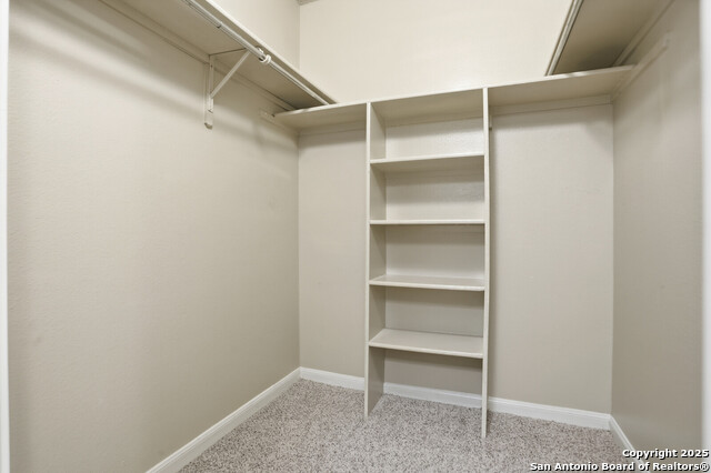 Image 20 of 25 For 4839 Brandeis  121