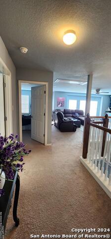 Image 27 of 49 For 509 Whittmen