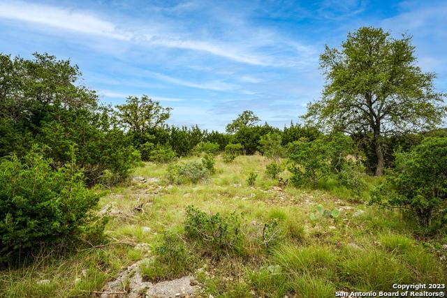 Image 18 of 22 For Lot 20 Clubs Dr