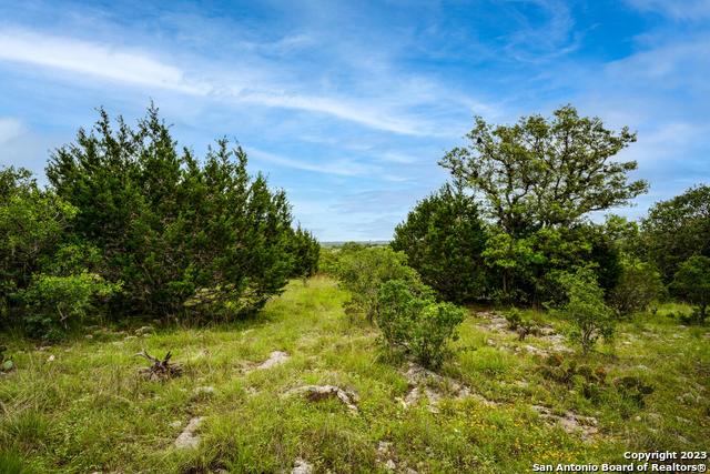 Image 20 of 22 For Lot 20 Clubs Dr