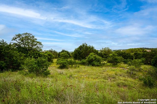 Image 21 of 22 For Lot 20 Clubs Dr