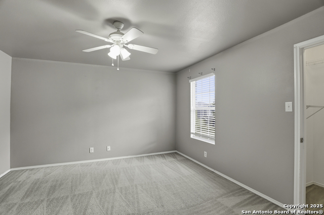 Image 17 of 25 For 115 Venezia