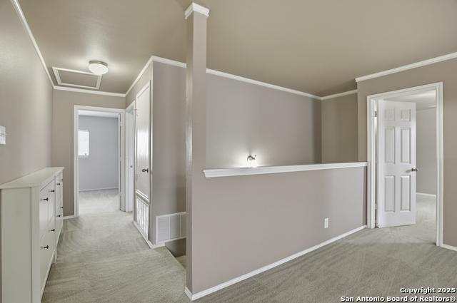 Image 18 of 25 For 115 Venezia