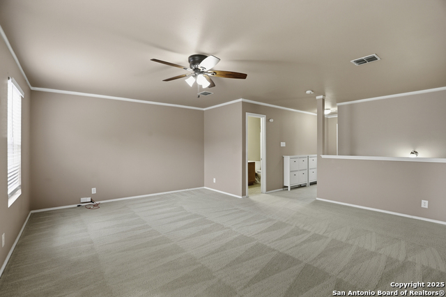 Image 19 of 25 For 115 Venezia