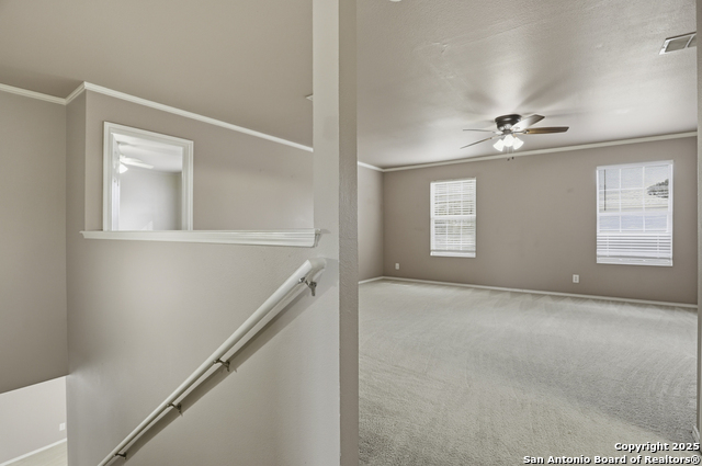 Image 20 of 25 For 115 Venezia