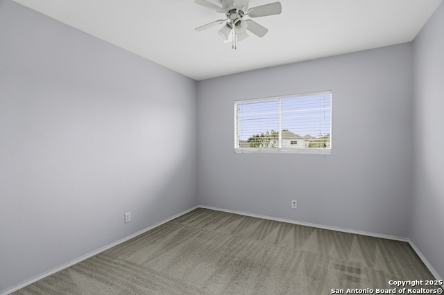 Image 21 of 25 For 115 Venezia