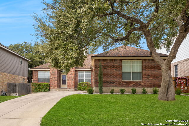 Image 11 of 28 For 9331 Vinca Pass