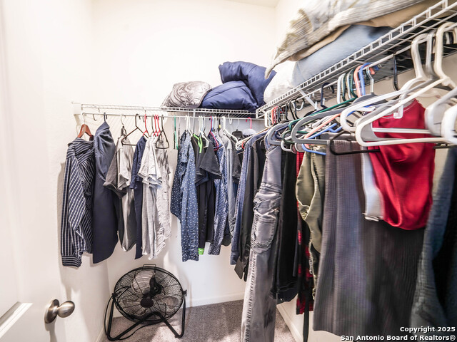 Image 15 of 29 For 4814 Flying Hooves