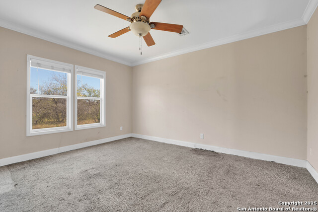 Image 10 of 23 For 228 County Road 4647