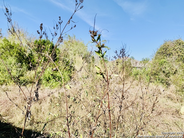 Listing photo id 24 for 5677 Cross Over