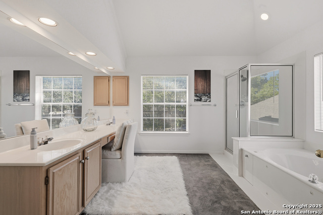 Image 31 of 44 For 9518 Antoine Forest