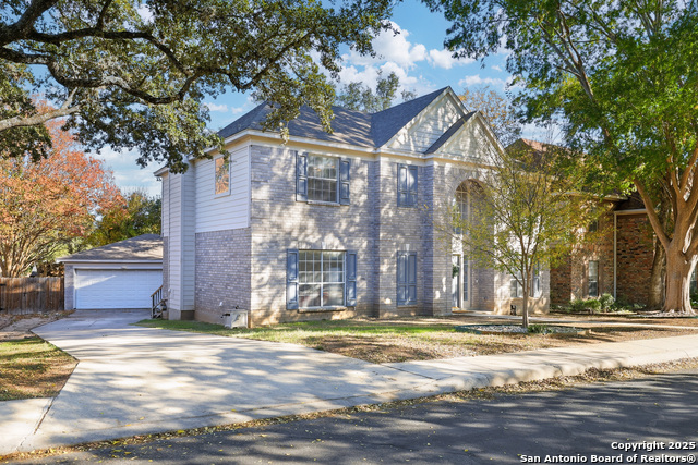 Image 44 of 44 For 9518 Antoine Forest