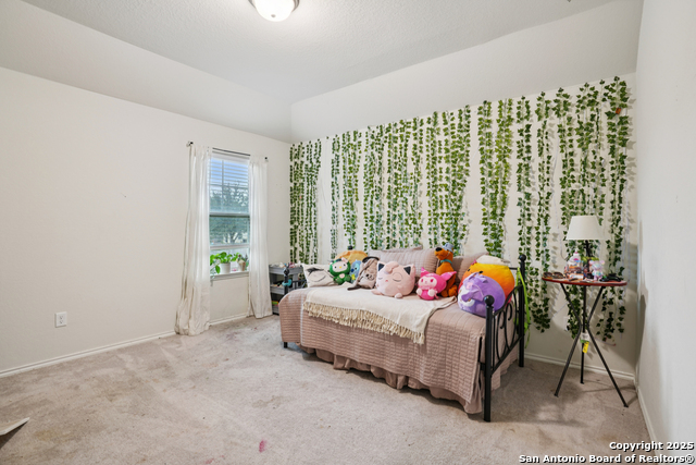 Listing photo id 25 for 9028 Curling Post