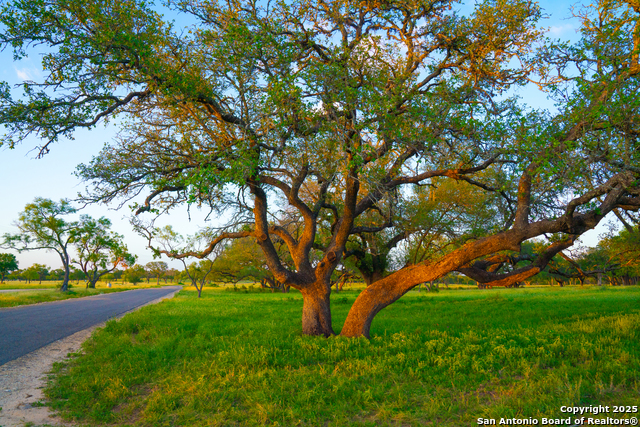 Image 4 of 14 For 0 Golden Hour Ranch